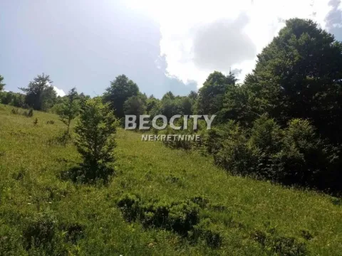 Sale, land lot, 100m², Golija, Ivanjica - image 9