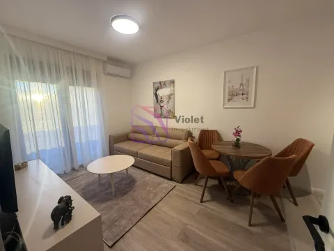 Rent, one bedroom apartment, 38m², Zabjelo, Podgorica - image 1