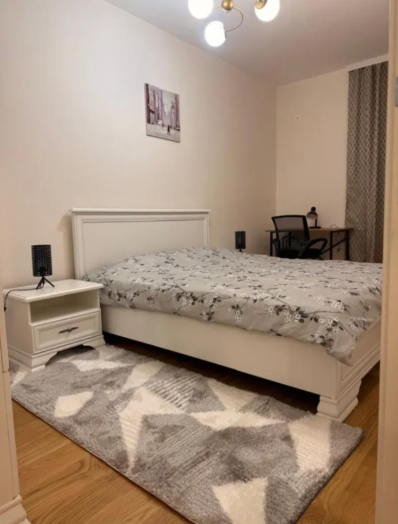 Izdavanje, jednosoban stan, 47m², Central Point, Podgorica