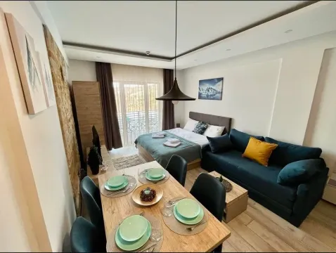 Sale, one bedroom apartment, 29m², Kraljevi Čardaci, Kopaonik - image 4