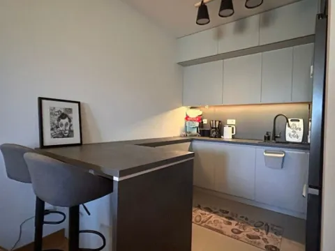 Izdavanje, jednosoban stan, 47m², New City, Podgorica - image 12