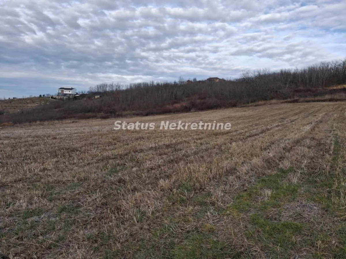 Prodaja, plac, 14994m², Ledinci, Petrovaradin