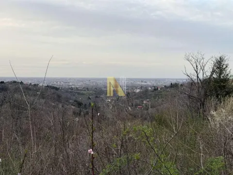 Prodaja, plac, 1000m², Sremska Kamenica, Petrovaradin - image 4