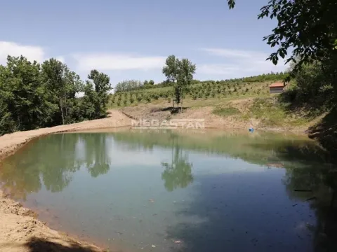 Prodaja, plac, 74500m², Arandjelovac, Srbija - image 5