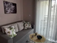 Rent, studio apartment, 34m², Golubovina, Budva - image 1