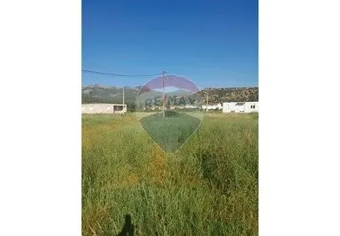 Prodaja, plac, 1826m², Murtovina, Podgorica - image 2