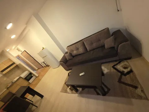 Izdavanje, jednosoban stan, 52m², Zabjelo, Podgorica - image 15