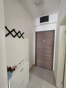 Rent, one bedroom apartment, 40m², Zabjelo, Podgorica - image 9