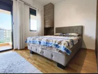 Izdavanje, jednosoban stan, 45m², Blok 9, Podgorica - image 6