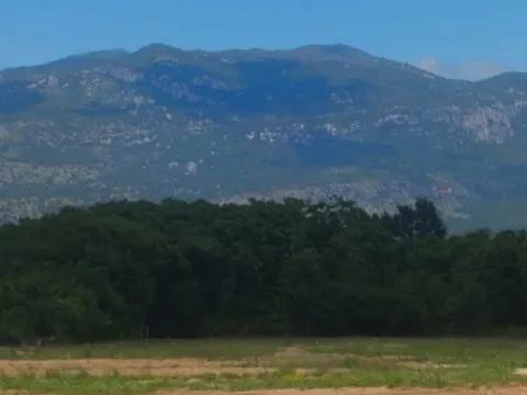 Prodaja, plac, 13300m², Kosić, Danilovgrad - image 6