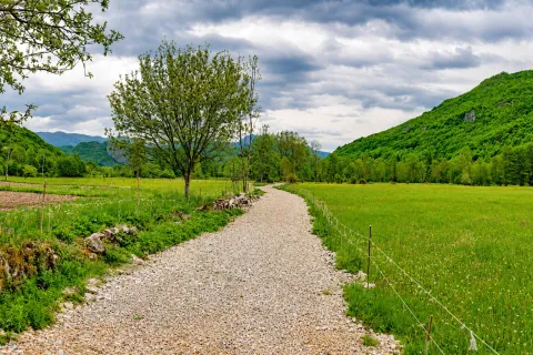 Šljunkoviti put kroz zelenu livadu okruženu brdima i drvećem. - image 6
