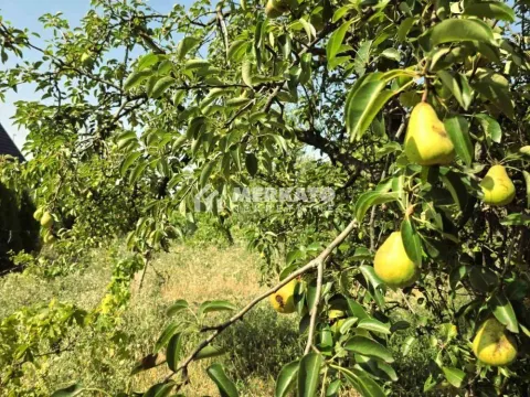 Sale, land lot, 3100m², Bagljaš, Zrenjanin - image 18