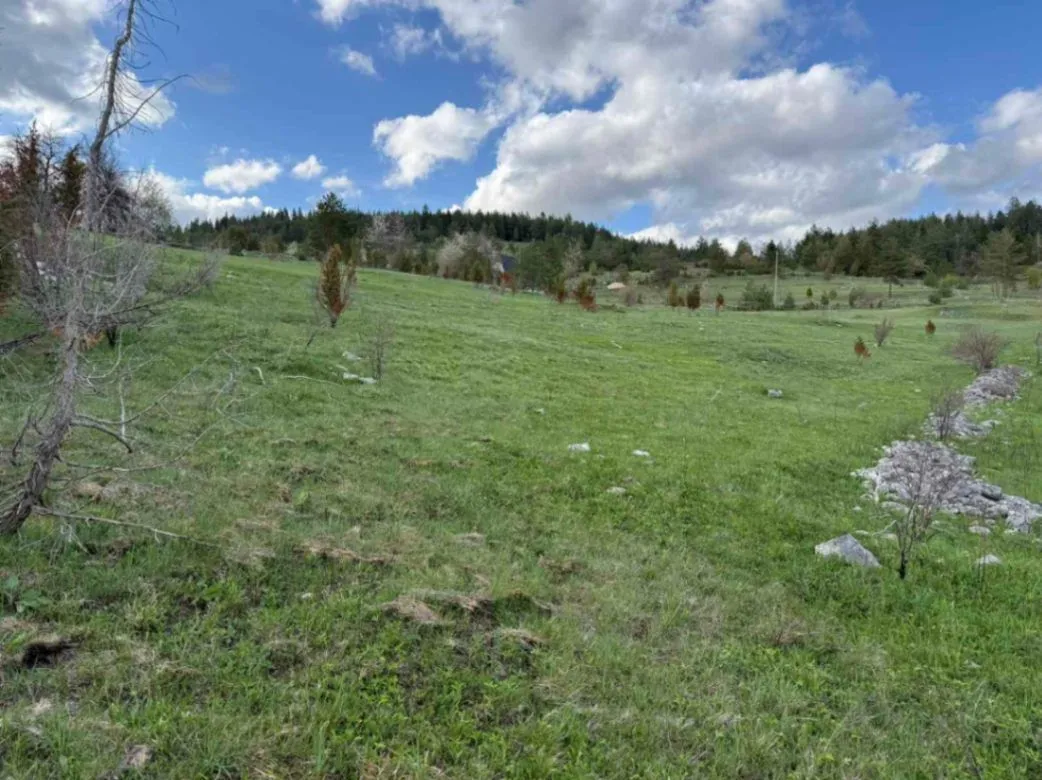 Prodaja, plac, 8000m², Žabljak, Crna Gora