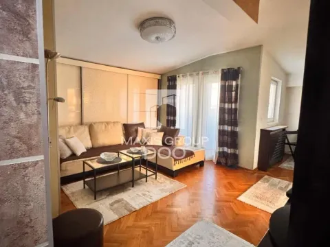 Izdavanje, jednosoban stan, 65m², Vračar Centar, Vračar Sve Podlokacije - image 8