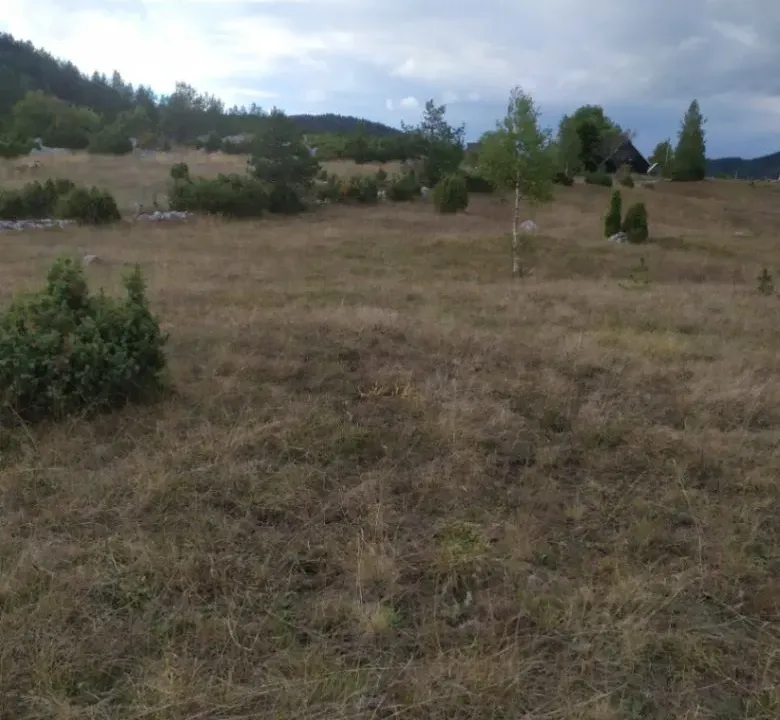 Sale, land lot, 13600m², Njegovuđa, Žabljak