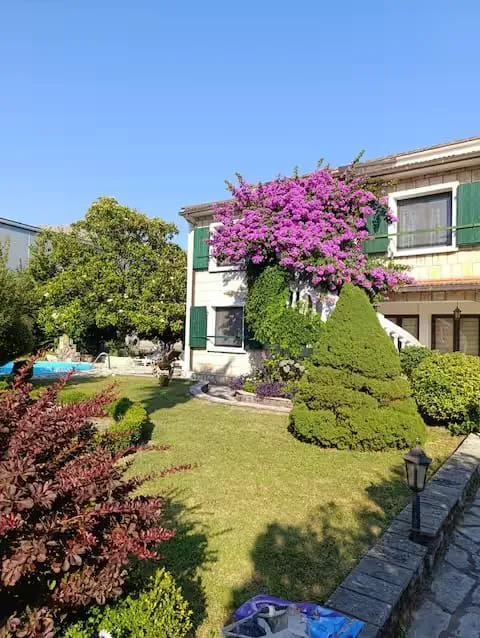 House yard with a landscaped lawn, greenery and flowers.