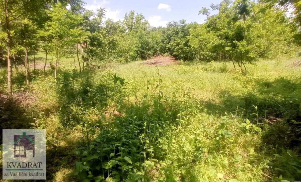 Prodaja, plac, 3000m², Konatice, Obrenovac