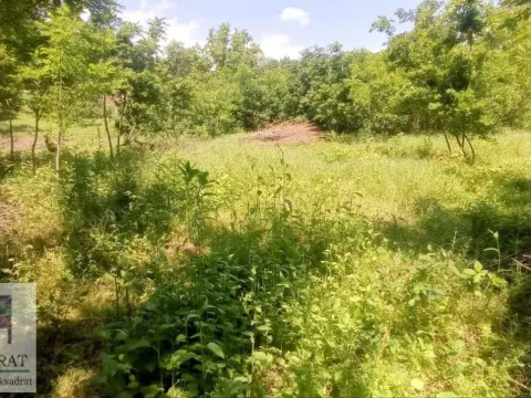 Sale, land lot, 3000m², Konatice, Obrenovac - image 4