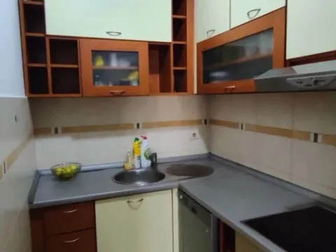 Izdavanje, jednosoban stan, 56m², Podgorica, Crna Gora - image 4