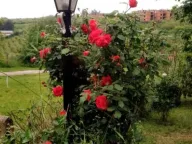 Prodaja, kuća, 341m², Grocka, Beograd - image 7