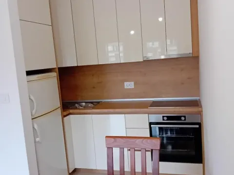 Rent, one bedroom apartment, 43m², Zabjelo, Podgorica - image 2