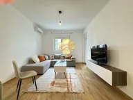 Izdavanje, jednosoban stan, 50m², Stari Aerodrom, Podgorica - image 1