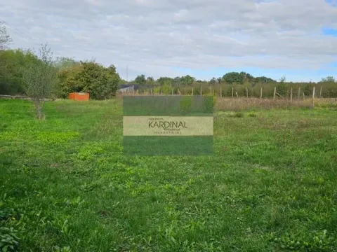 Sale, house, 246m², Arandjelovac, Srbija - image 9