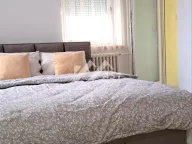 Izdavanje, stan, 37m², Novi Sad Sve Podlokacije, Novi Sad - image 3