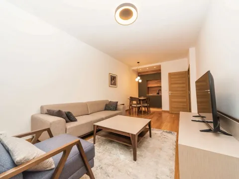 Izdavanje, jednosoban stan, 45m², New City, Podgorica - image 2