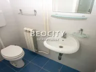 Rent, house, 300m², Dedinje Sve Podlokacije, Beograd - image 6