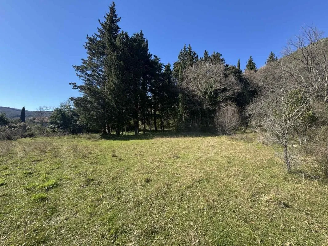 Prodaja, plac, 7800m², Zelenika, Podgorica