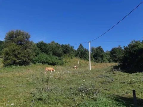 Sale, land lot, 26500m², Živica, Lučani - image 5