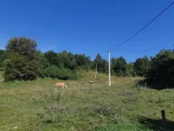 Prodaja, plac, 26500m², Živica, Lučani - image 5