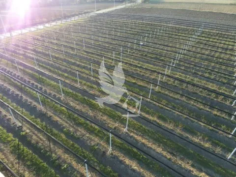 Prodaja, plac, 20000m², Nemenikuće, Sopot - image 5