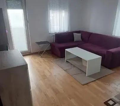 Izdavanje, dvosoban stan, 48m², Grbavica, Novi Sad Sve Podlokacije - image 2