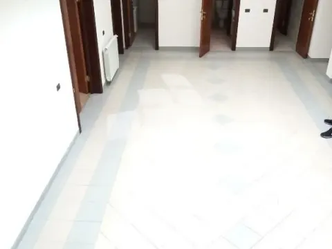 Izdavanje, poslovni prostor, 936m², Borča Sve Podlokacije, Beograd - image 2