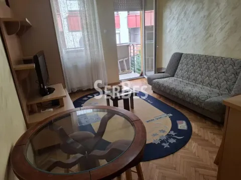 Izdavanje, stan, 30m², Centar, Novi Sad - image 7
