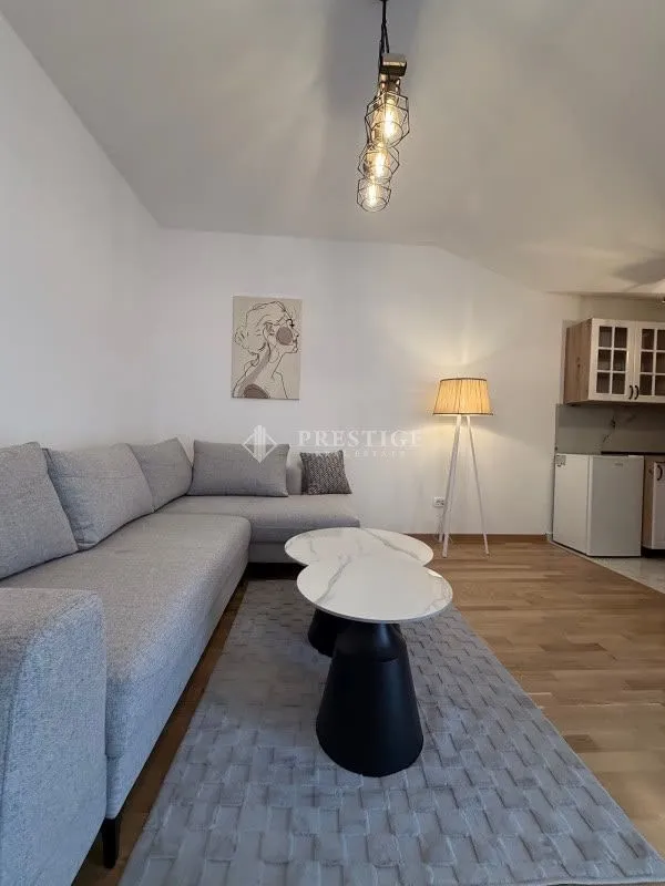Rent, studio apartment, 28m², Zagorič, Podgorica