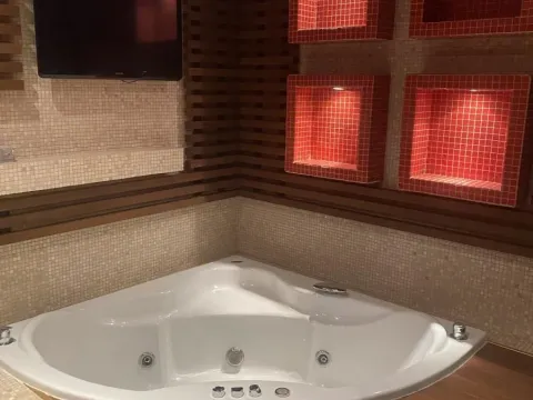 Izdavanje, jednosoban stan, 85m², Savski Venac, Beograd - image 4