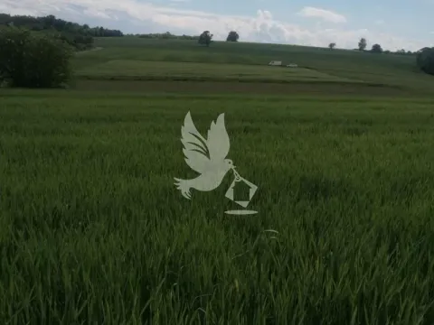 Prodaja, plac, 29000m², Sopot, Beograd - image 2