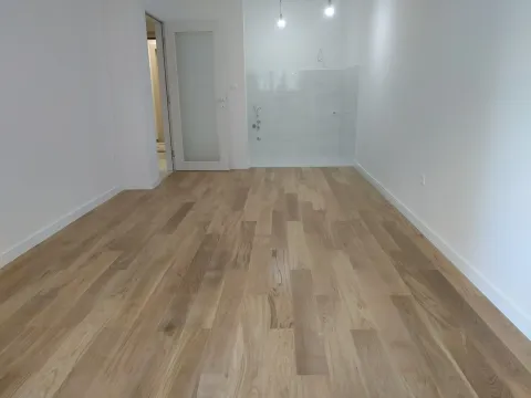 Izdavanje, jednosoban stan, 47m², Central Point, Podgorica - image 4