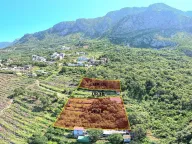 Sale, land lot, 2720m², Blizikuće, Budva - image 8