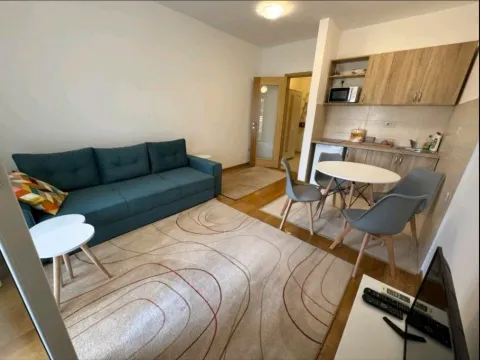 Izdavanje, garsonjera, 26m², Blok 6, Podgorica - image 3