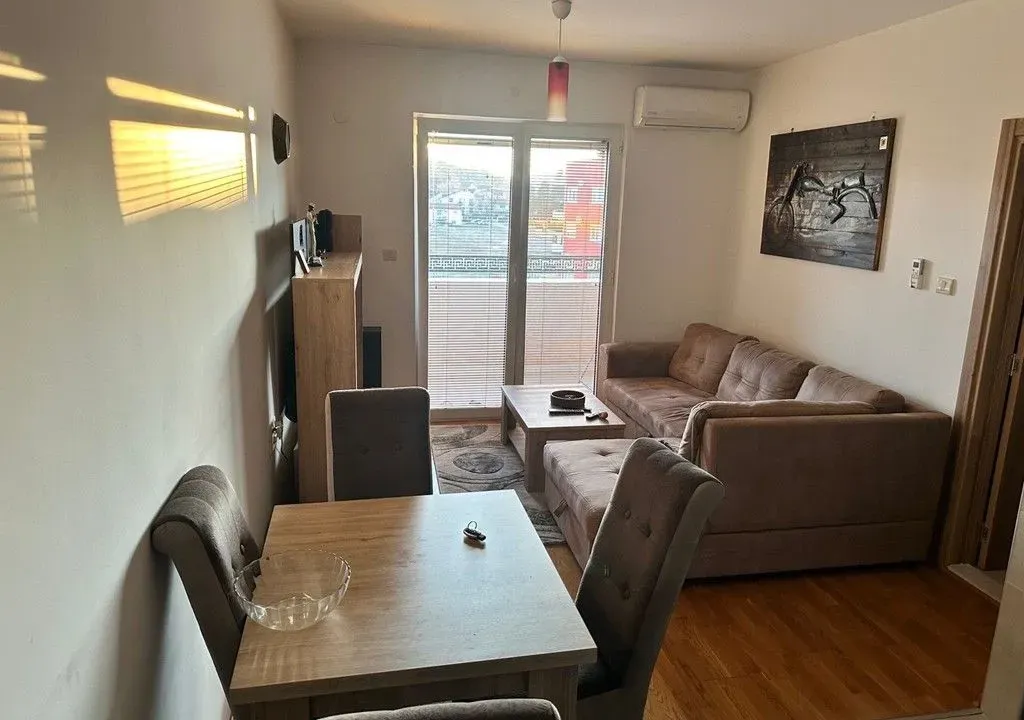 Rent, one bedroom apartment, 45m², Zagorič, Podgorica