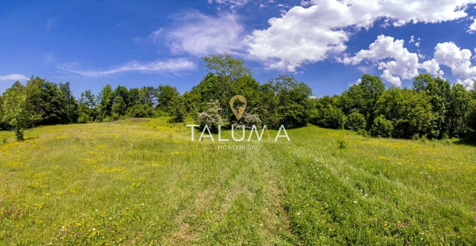 Prodaja, plac, 43527m², Kolašin, Crna Gora