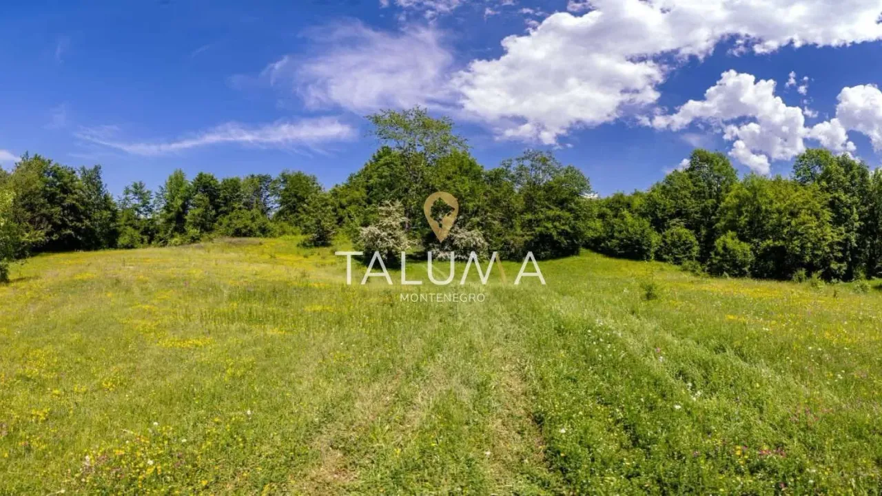 Sale, land lot, 43527m², Kolašin, Crna Gora