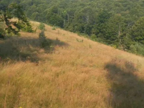 Sale, land lot, 60800m², Brezojevica, Plav - image 4