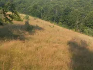 Prodaja, plac, 60800m², Brezojevica, Plav - image 4