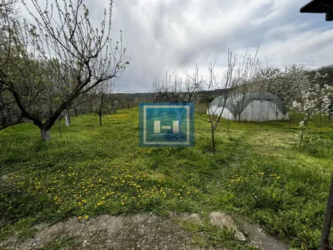 Sale, house, 80m², Novo Lanište, Jagodina - image 34