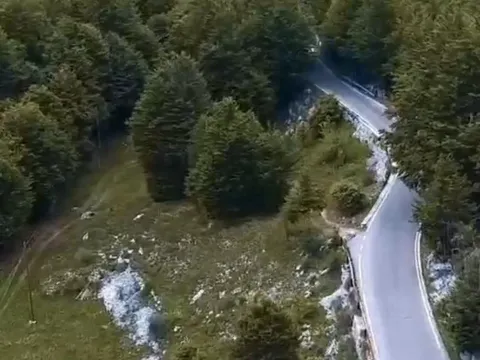 Prodaja, plac, 198000m², Cetinje, Crna Gora - image 5